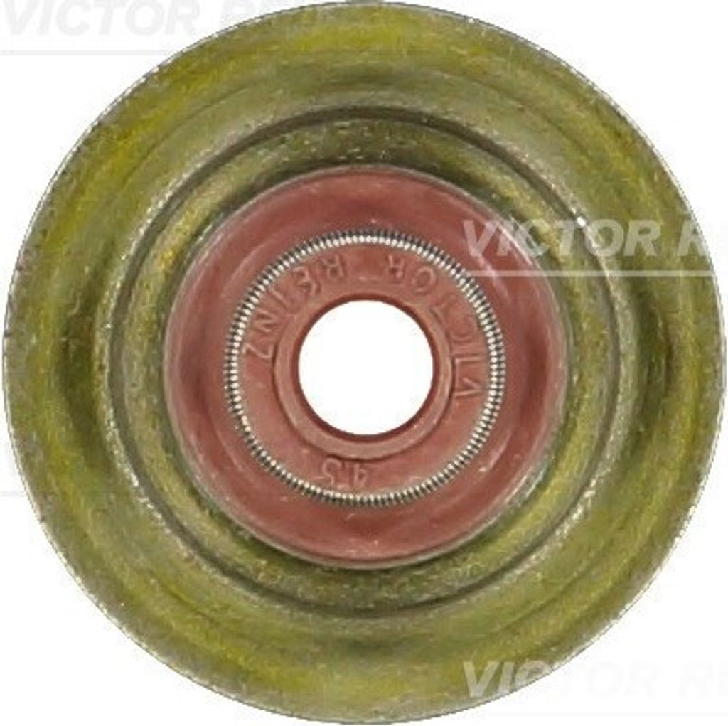 REINZ Ventilschaftdichtung 70-53393-00 für CHEVROLET CRUZE (J300)