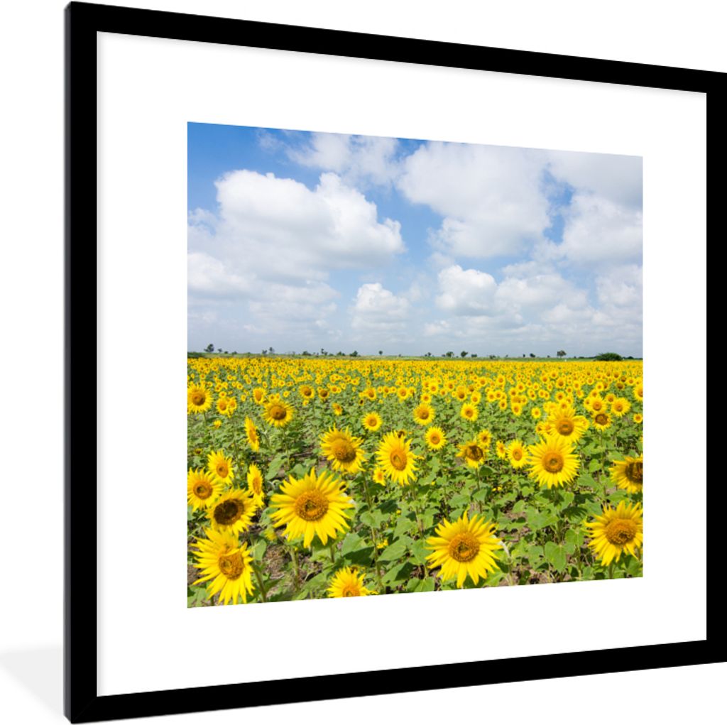 MuchoWow Gerahmtes Poster Sonnenblumen - Blumen - Wolken - Natur - Gelb - Landschaft 40x40 cm - Poster mit Schwarzem Bilderrahmen Wandposter Rahm...