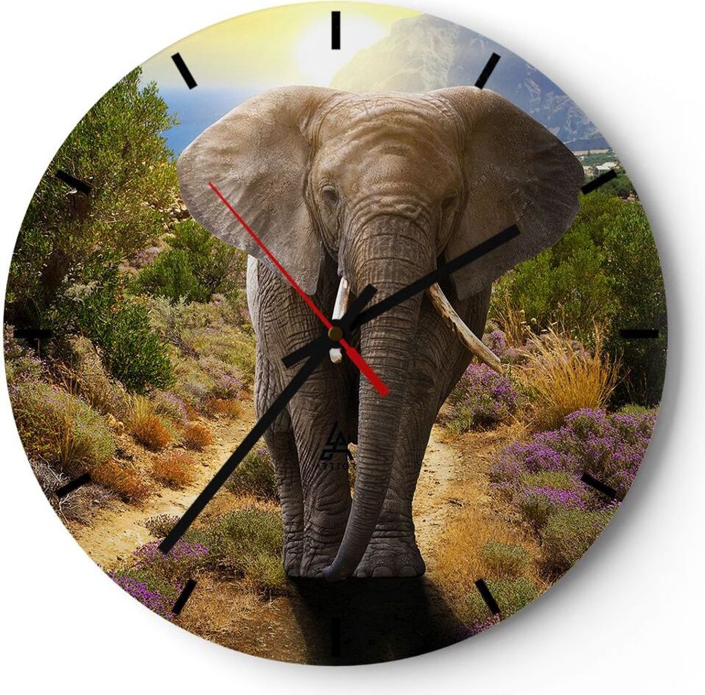 Wanduhr - Rund - Glasuhr - Tiere Afrika Elefanten Spaziergang - 40x40cm - Schleichendes Uhrwerk - Lautlos - zum Aufhängen bereit - Dekoration Mode...