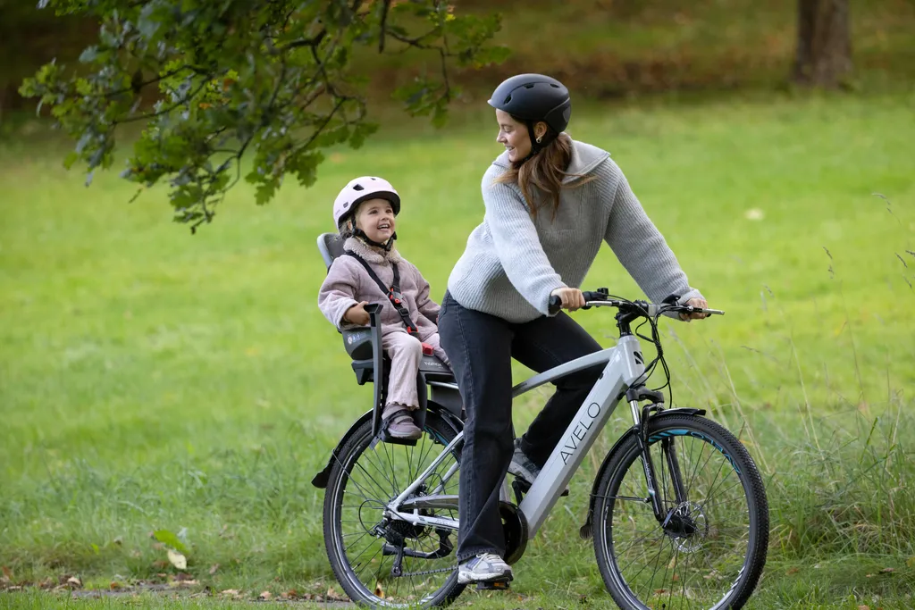 Hamax Siesta Siège Vélo Enfant Arrière avec Support Verrouillable Gris