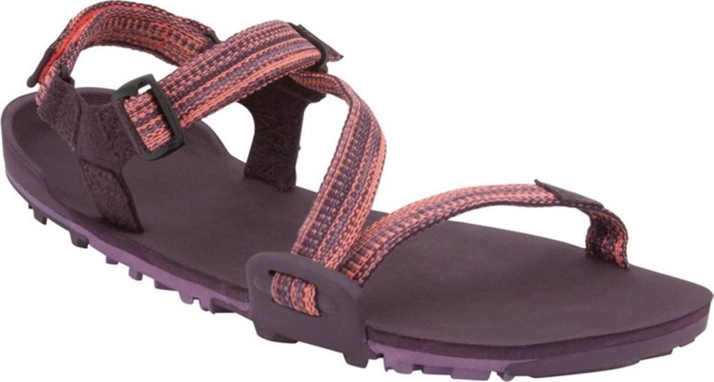 Schuhe Xero Shoes Z trail Ev TTWMAGW