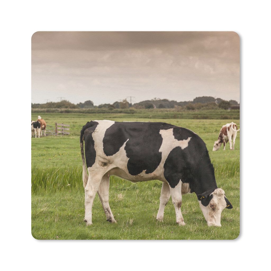 MuchoWow Mauspad Mousepad Kühe - Mühle - Niederlande 30x30 cm - Mousepads - Maus Mat - Pad - Mausunterlage - Gaming