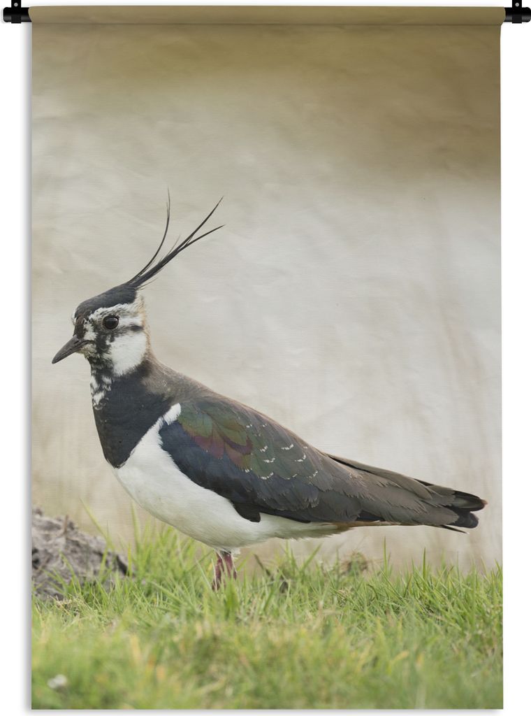 MuchoWow Wandteppich Wandbehang Vogel - Gras - Tiere - Natur - Kiebitz 120x180 cm Tapisserie Dekoration Wandtuch - Schlafzimmer - Dekorationen f...