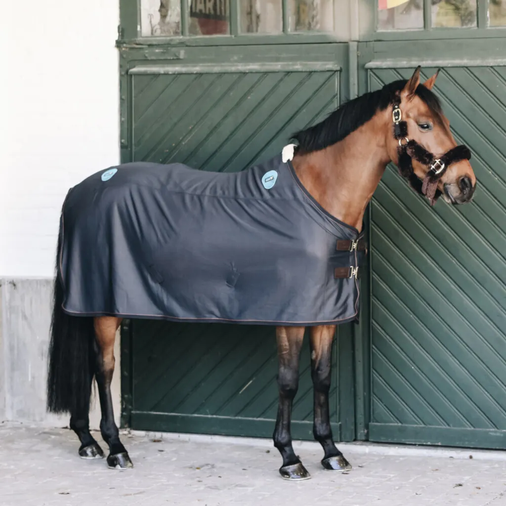 Tapis de selle magnétique Kentucky Recuptex bleu marine pour cheval