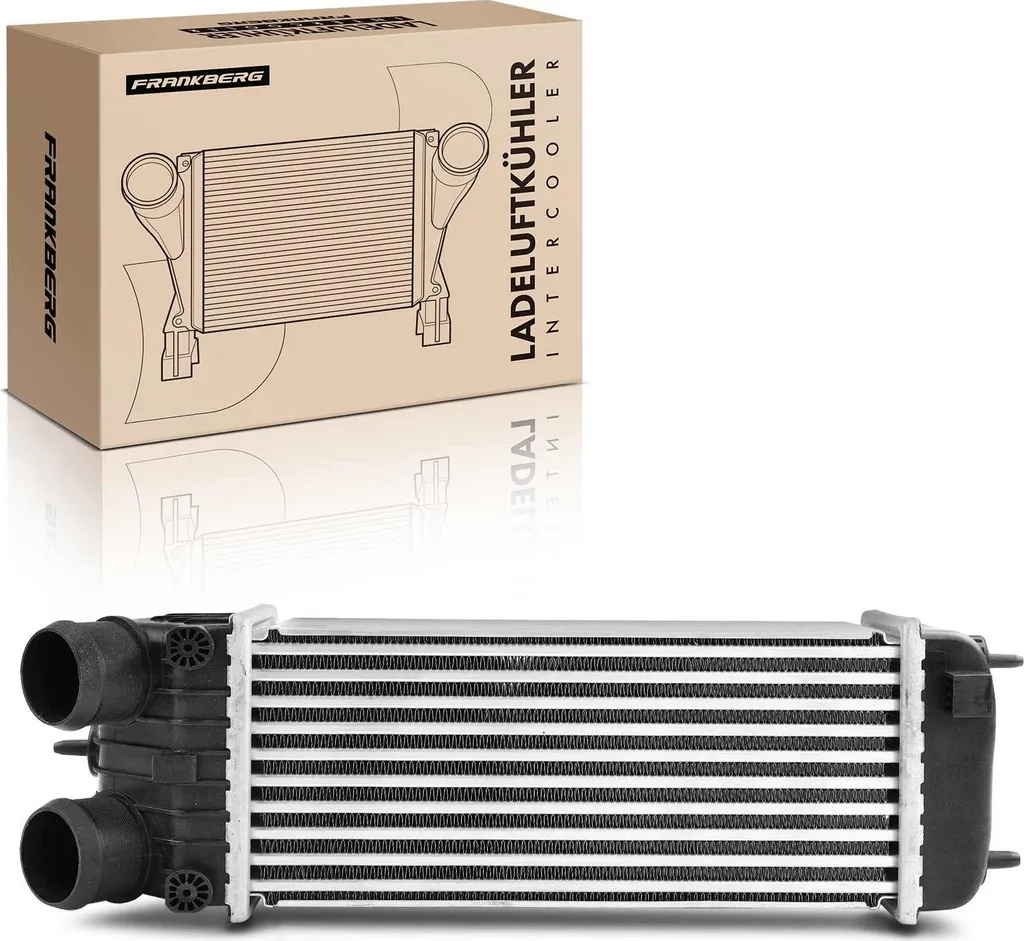 Intercooler de Suralimentation pour Peugeot 207 et DS3 1.6L Turbo Essence