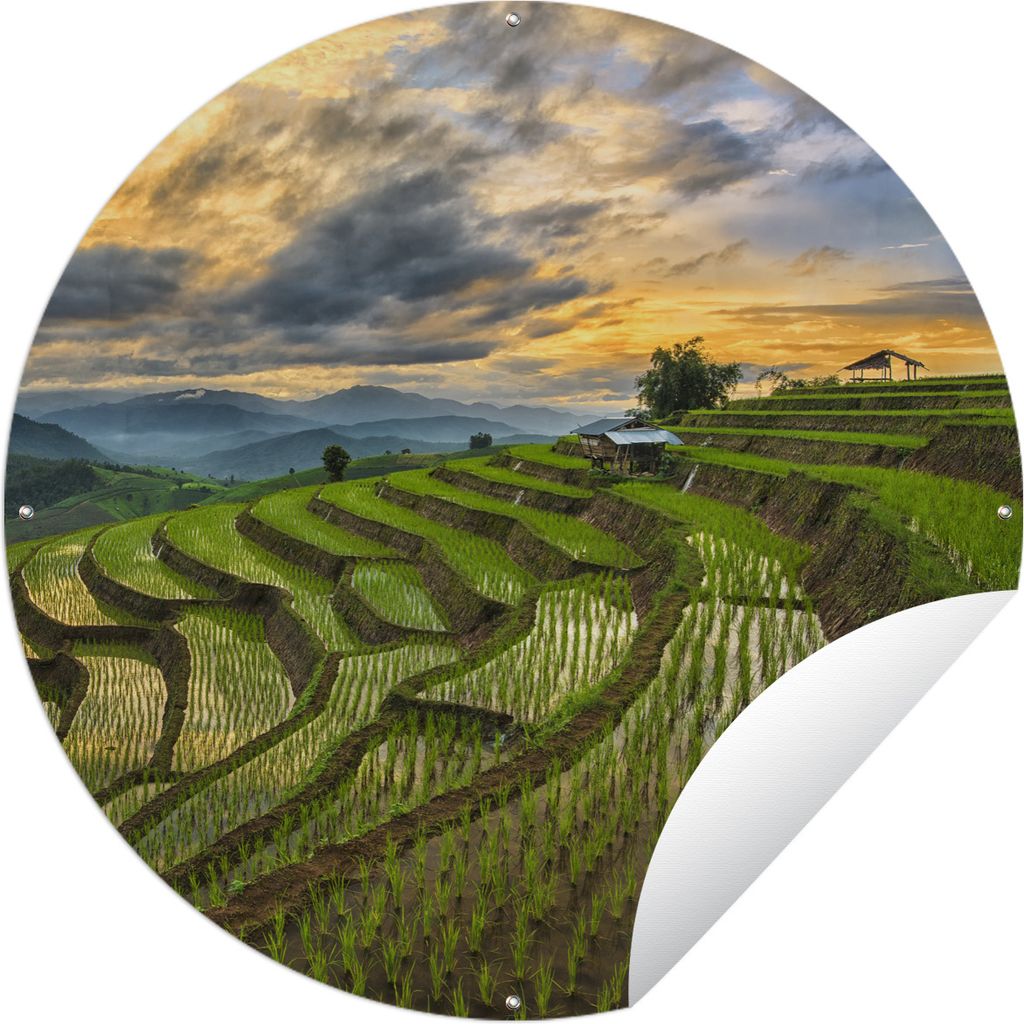 MuchoWow Gartenposter Outdoor-Poster Rund Ein schönes Wolkenfeld über den Reisfeldern Thailands Ø 90 cm Gartendeko Rundes Poster draußen
