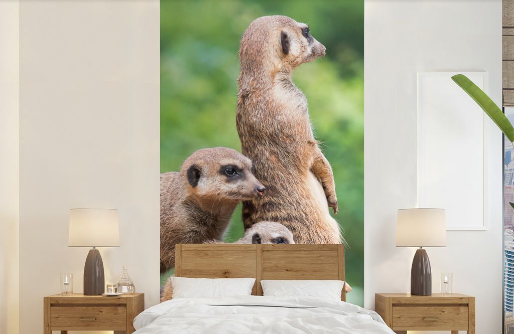 MuchoWow Fototapete für Wohnzimmer oder Schlafzimmer Wandtapete Vinyl Motivtapete Erdmännchen - Baumstumpf - Jungtier - 120x240 cm - Hintergrun...