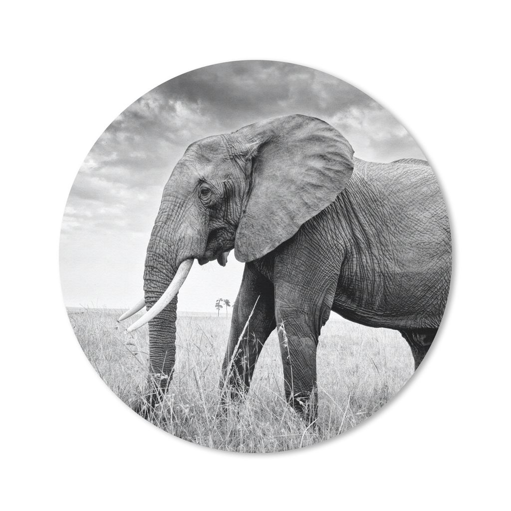 MuchoWow Mauspad Mousepad Elefant - Gras - Tiere - Schwarz und weiß 50x50 cm - Mousepads - Maus Mat - Pad - Mausunterlage - Vinyl