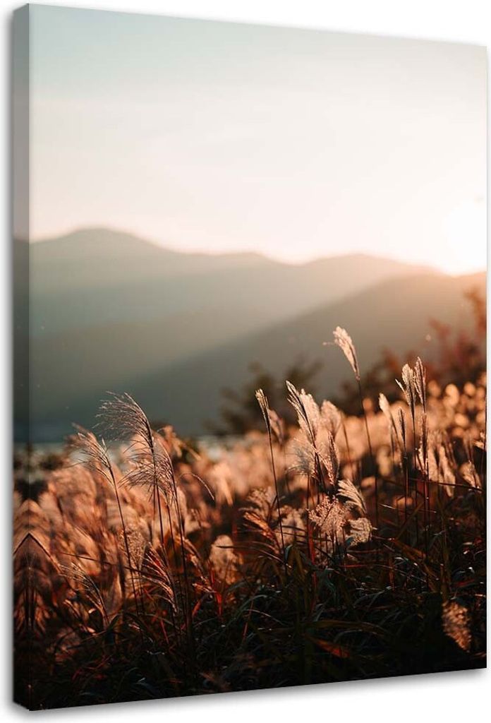Leinwandbild wiese und berge 80x120 cm Feeby beige wandbild bereit zum aufhängen