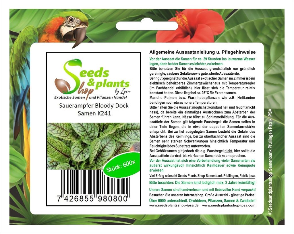 600x Sauerampfer Bloody Dock Rumex sanguineus Garten Pflanzen - Samen K241