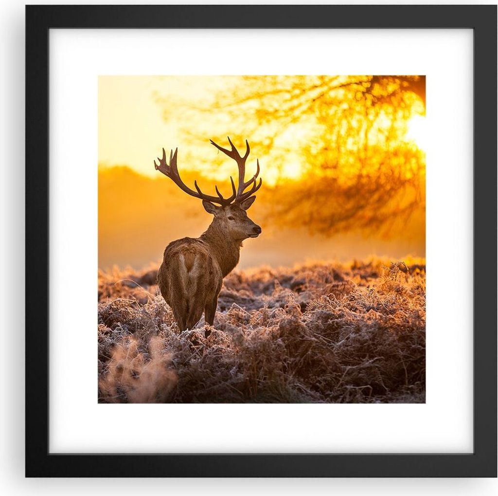 Gerahmtes Poster - Schwarzer Rahmen - Herbst landschaft natur blatt - 30x30 cm - Wand Bild - Wanddeko - Wandbilder - Wandposter - Bilderrahmen - Bi...