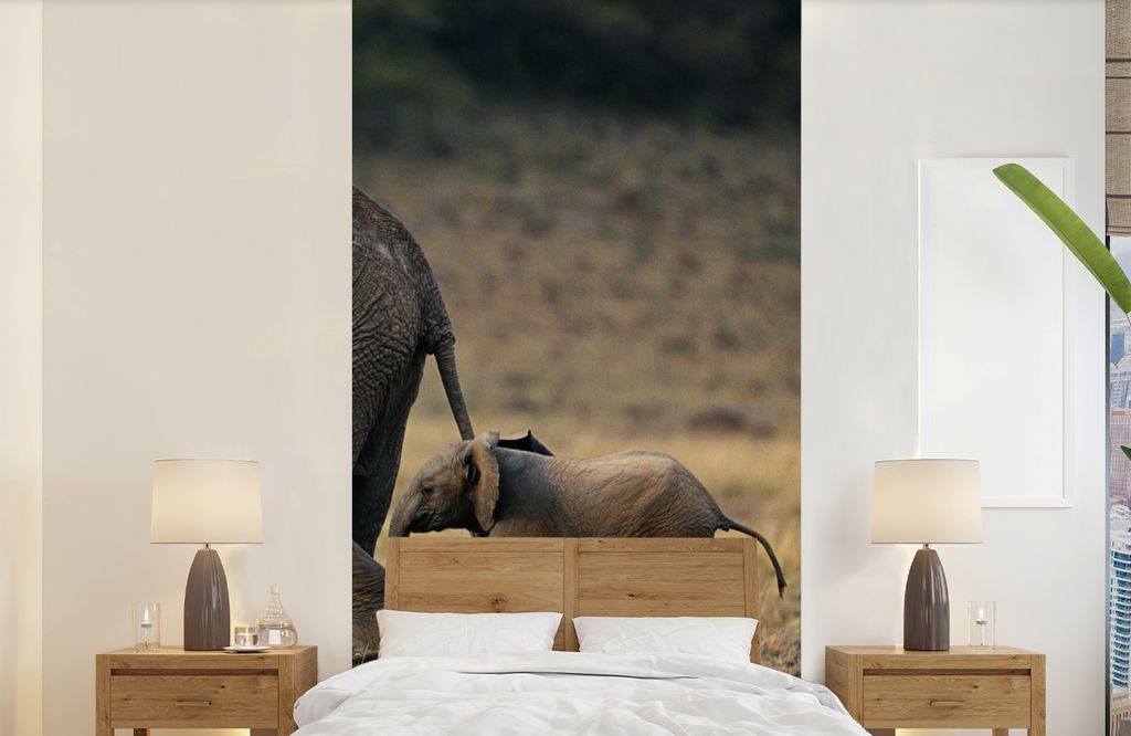 MuchoWow Fototapete für Wohnzimmer oder Schlafzimmer Wandtapete Vinyl Motivtapete Kind rennt hinter Elefantenmutter her - 120x240 cm - Hintergru...