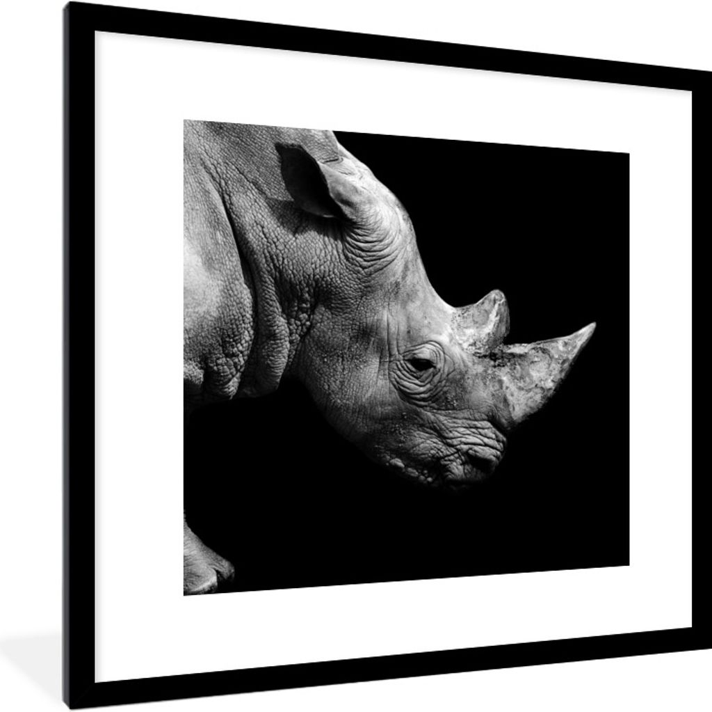 MuchoWow® Gerahmtes Poster Portrait Nashorn auf schwarzem Produktbild 