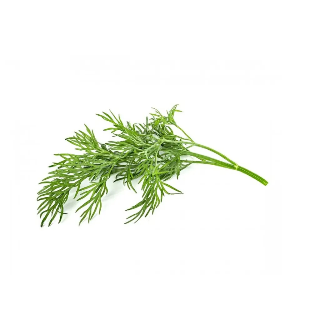 Click & Grow Pods Dill - Recharge Aneth pour Potager Intérieur (Lot de 3) - 3