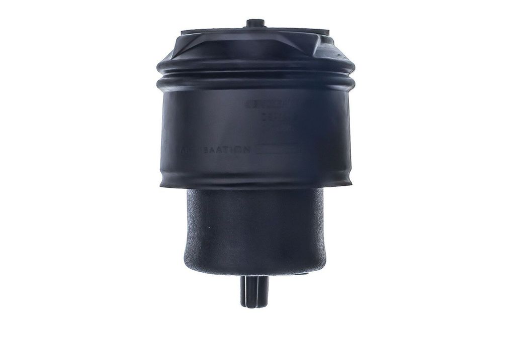 DENCKERMANN DSA129G Luftfederung Luftfeder für FIAT Scudo (270, 272) Hinten