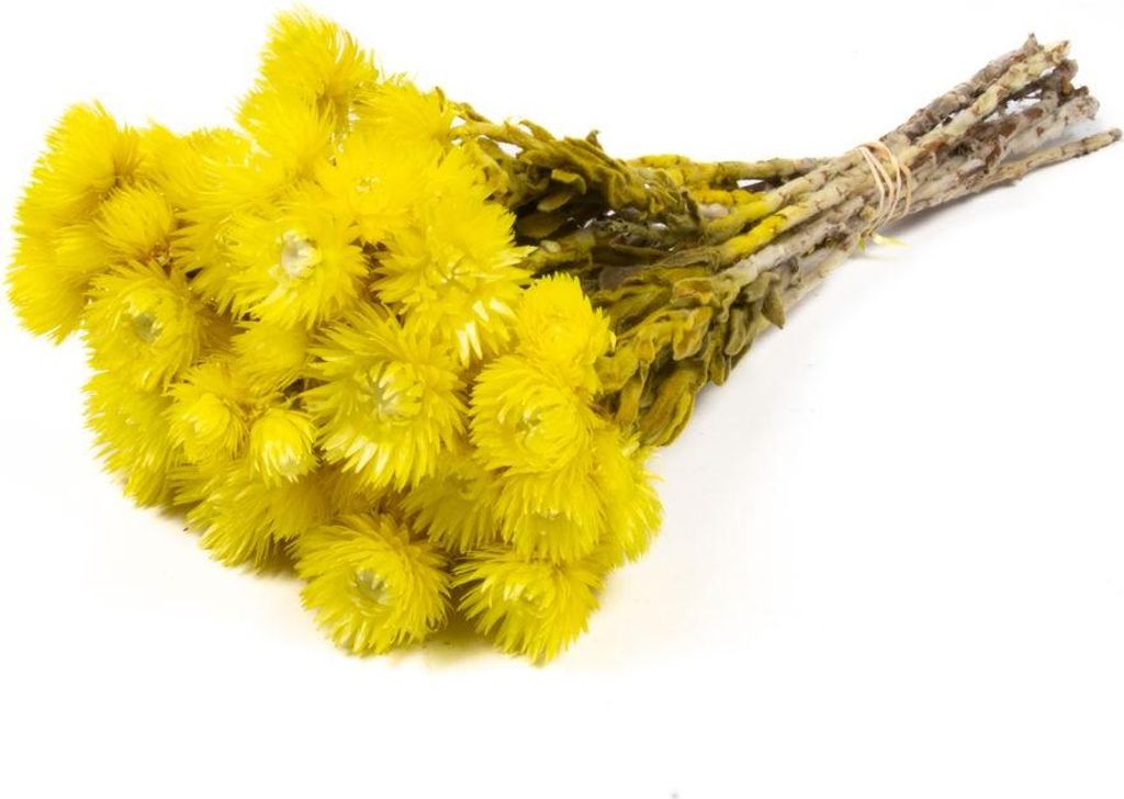 INNA-Glas Sonnenblumen Trockenstrauß Bibiana, gelb, 35-45cm, Ø15cm - Getrockneter Strauß