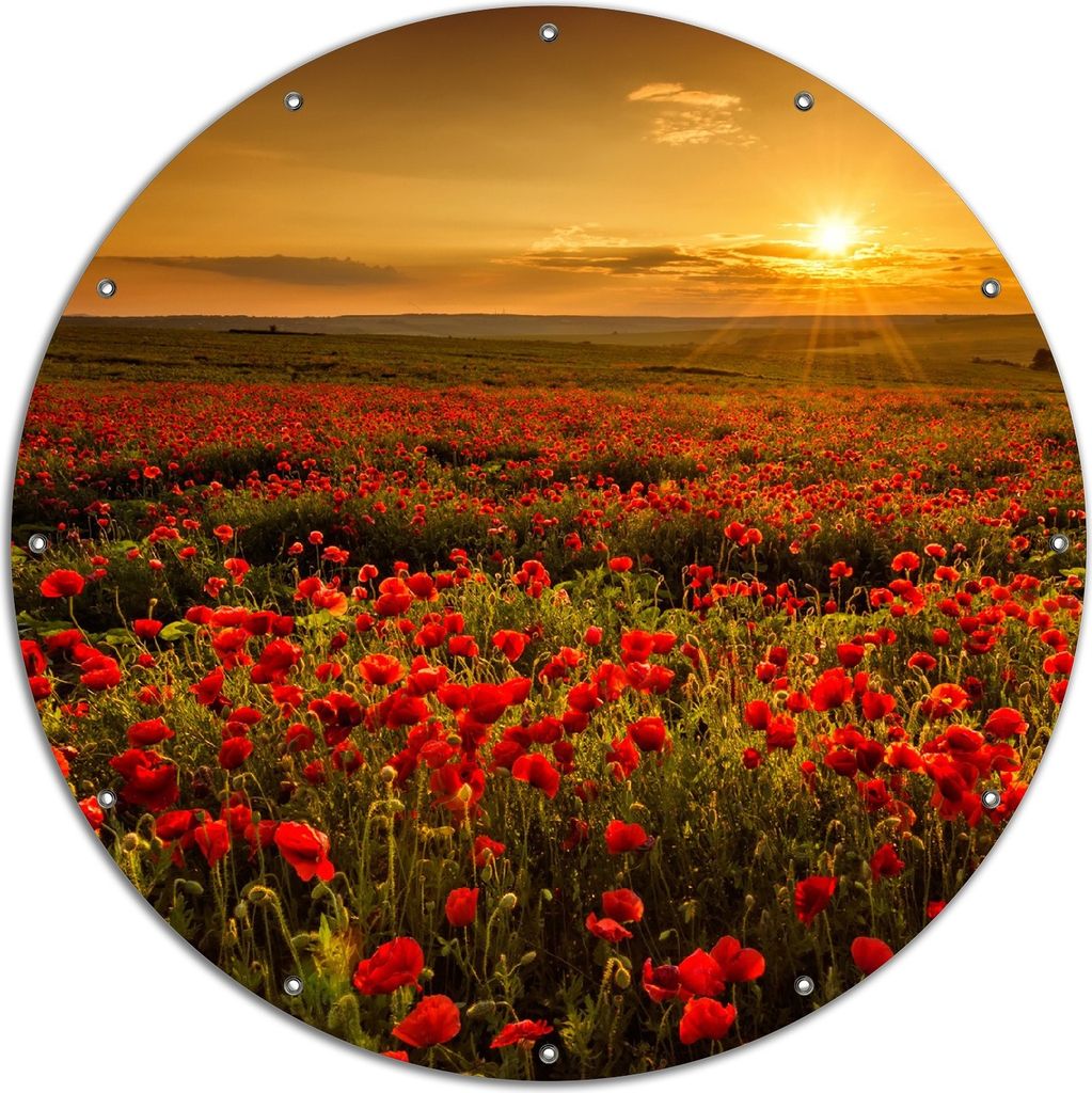 Wallario rundes Outdoor-Poster für Garten oder Balkon, Motiv Mohnblumenwiese bei Sonnenuntergang am Abend, 120 cm Durchmesser