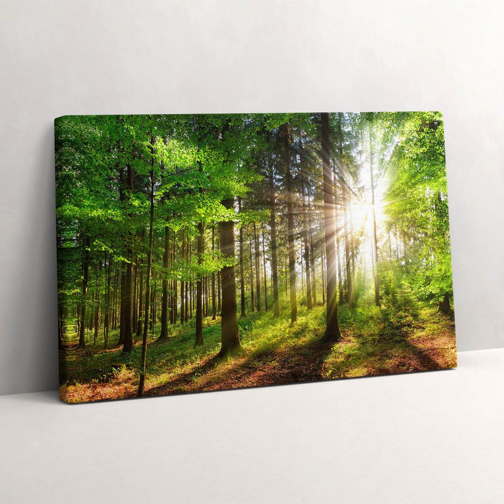Wald und Sonnenaufgang – Leinwandbild Wandbild – 30x20 cm – Leinwandbilder – Wandbilder – Schlafzimmer – Flur