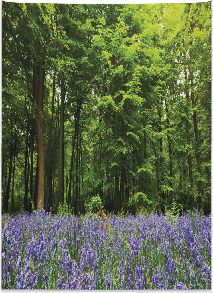 Abakuhaus Blumen Wandteppich, Bluebell-Blumen-Wald aus Weiches Mikrofaser Stoff Kein Verblassen Klare Farben Waschbar, 110 x 150 cm, Lila Grün