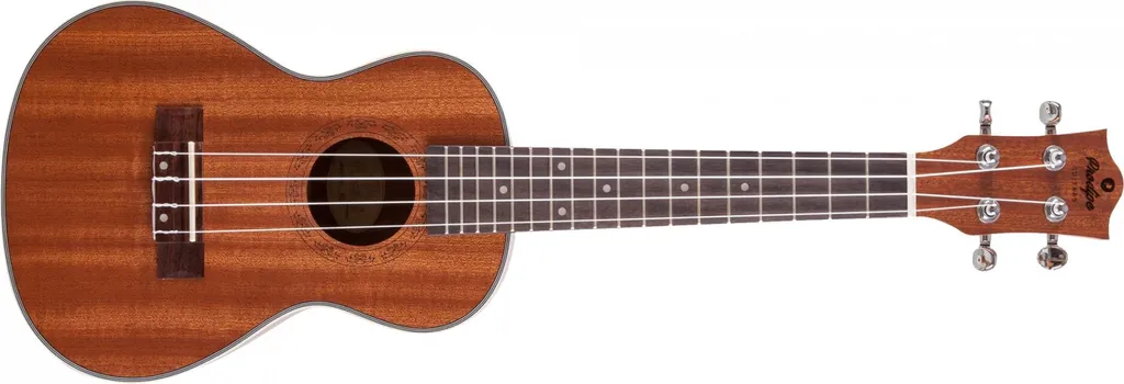 Guitare Prodipe BC2 idéale pour cours de musique et conservatoire