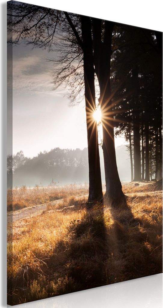 Vlies Leinwandbild - We Are a Ray (1 Part) Vertical 20x30 cm Landschaften c-B-0656-b-a