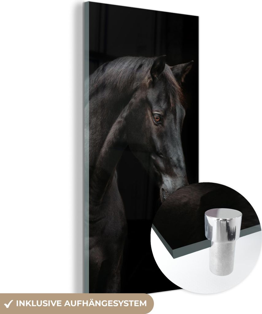 MuchoWow Glasbilder - Bilder auf Wandbild - Foto auf Glas Pferd - Tiere - Schwarz - Porträt 60x120 cm Wanddekoration aus Glas - Acrylglasbild - Ac...