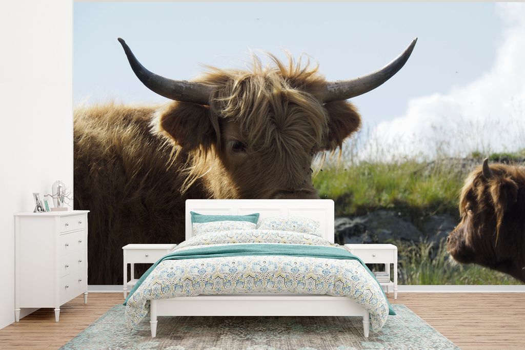 MuchoWow Fototapete für Wohnzimmer oder Schlafzimmer Wandtapete Vinyl Motivtapete Schottischer Highlander Cup - Landschaft - Kuh - 350x260 cm - ...