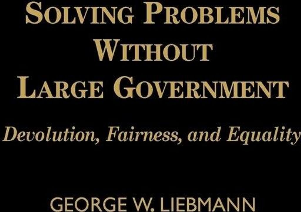 Solving Problems Without Large Government