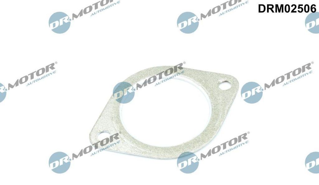 DR.MOTOR AUTOMOTIVE DRM02506 Auspuffdichtung Auspuffdichtung für BMW 3 Touring (E91)