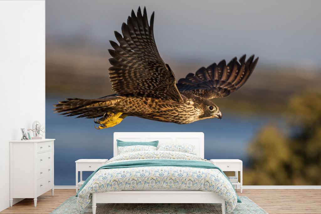 MuchoWow Fototapete für Wohnzimmer oder Schlafzimmer Wandtapete Vinyl Motivtapete Falke - Mehr - Fliegen - 600x400 cm - Vinyltapeten