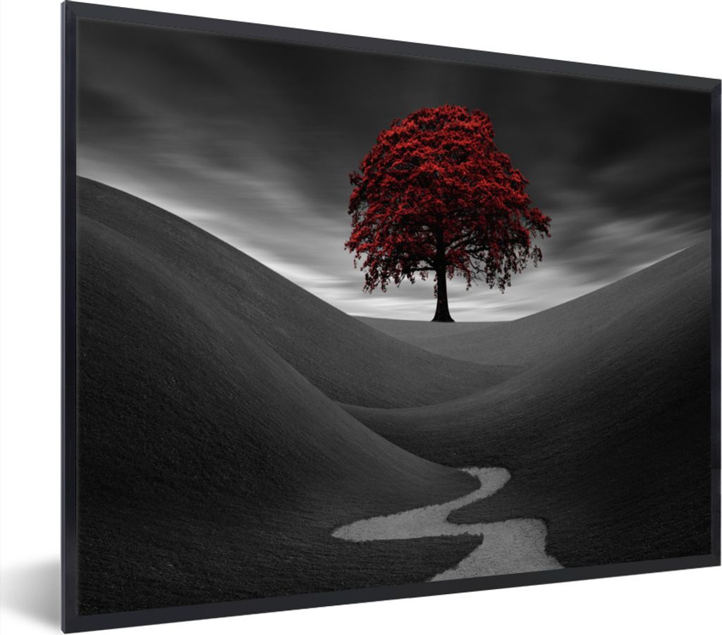 MuchoWow Gerahmtes Poster Schwarz-Weiß-Foto mit einem roten Baum 80x60 cm - Poster mit Schwarzem Bilderrahmen Wandposter Rahmen Foto Bilder - Sc...