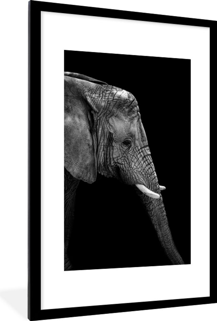 MuchoWow Gerahmtes Poster Elefant - Schwarz und weiß - Porträt - Tiere 60x90 cm - Poster mit Schwarzem Bilderrahmen Wandposter Rahmen Foto Bild...