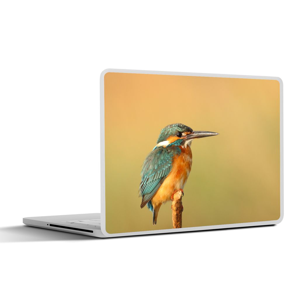 MuchoWow Laptop Aufkleber Sticker Cover Vogel - Eisvogel - Zweig 25x18 cm - Laptop-Deko