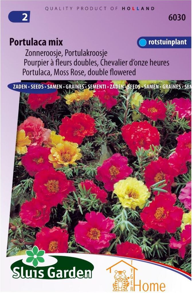Portulaca Double Flower Mixed Seeds - Bunter Sommerblüher für Garten und Töpfe - Pflegeleichter Double Flower Mix