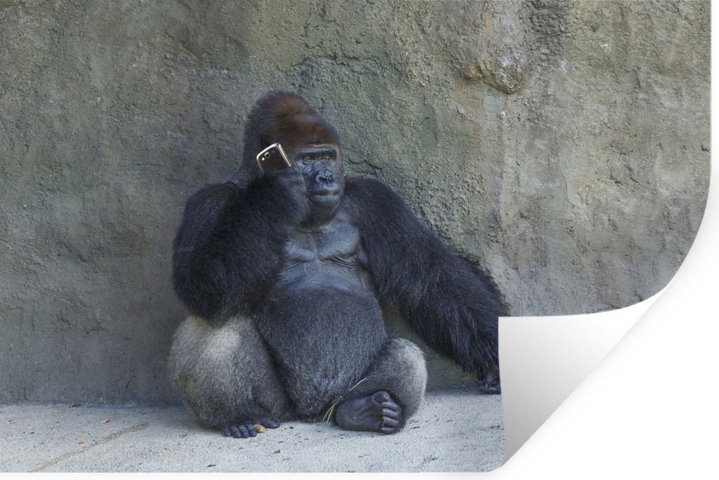 MuchoWow - Wierderverwendbar - Selbstklebend