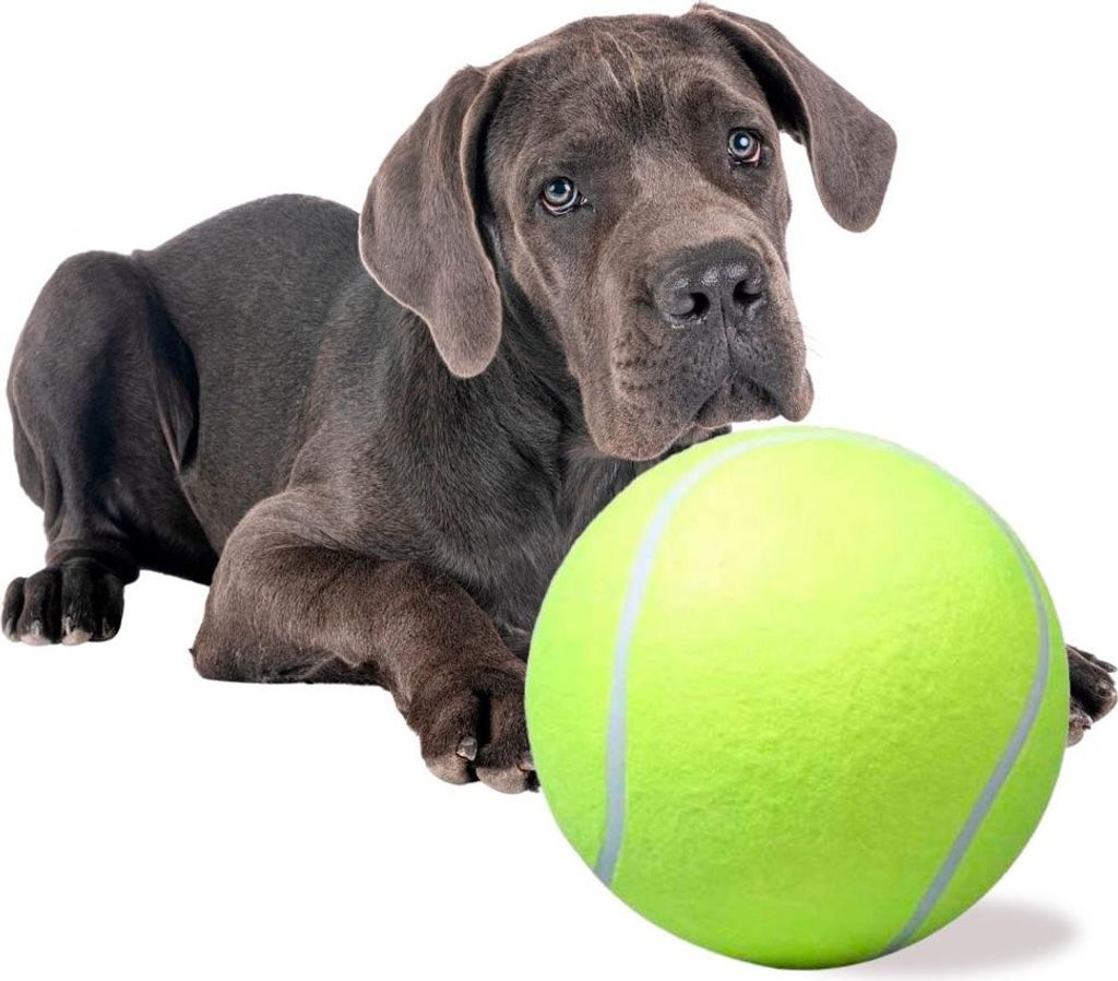Palla da tennis gigante XXL 24 cm, giocattolo per cani Immagine del prodotto 