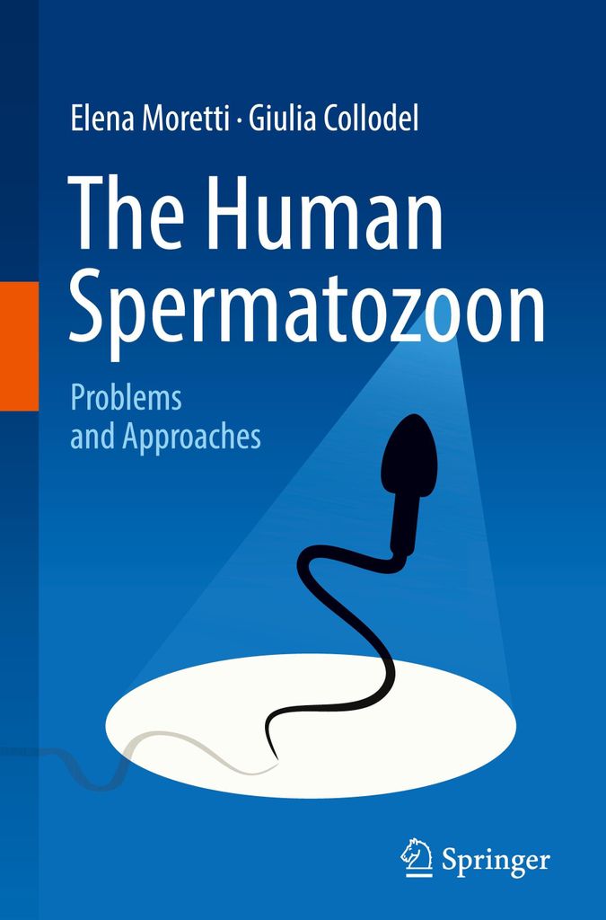 The Human Spermatozoon