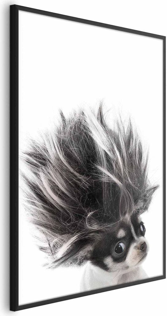 Posterpapier Poster - Chihuahua 21x30 cm Für Kinder g-B-0099-ao-a