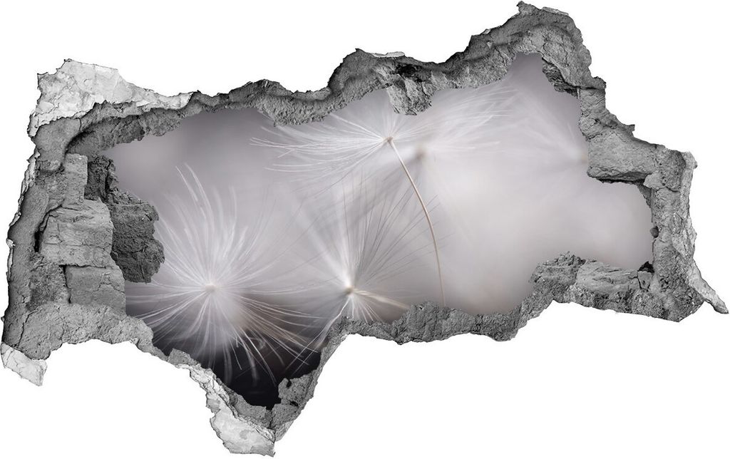 Selbstklebender Loch-3D-Aufkleber 95x73 cm Löwenzahn Samen