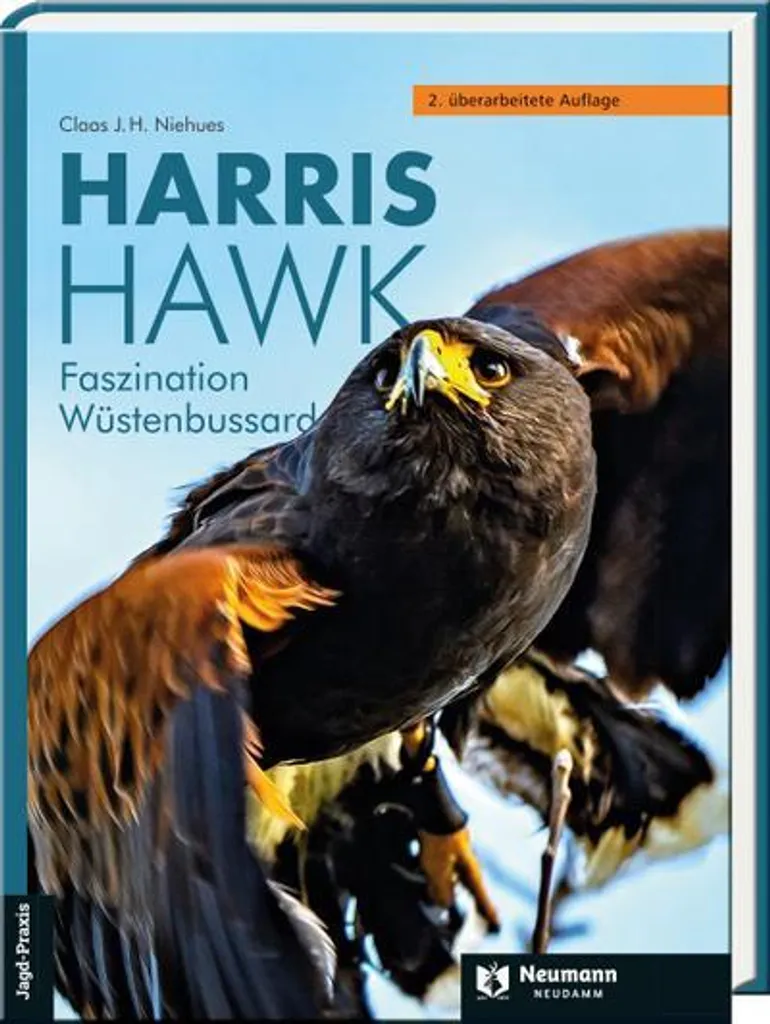 Gant de fauconnerie Harris Hawk en cuir véritable taille L