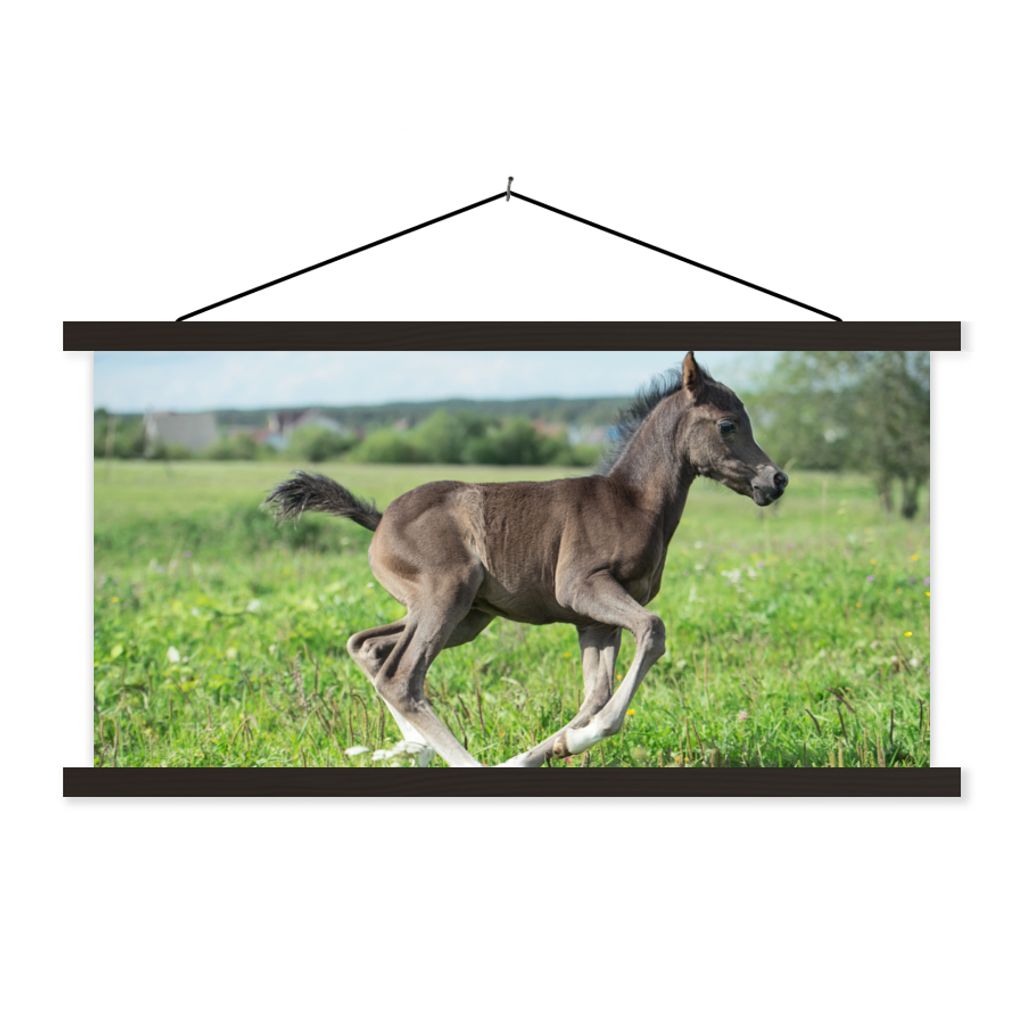 MuchoWow Textilposter Pferd - Blumen - Gras 150x75 cm mit schwarzem Rahmen - Posterleiste