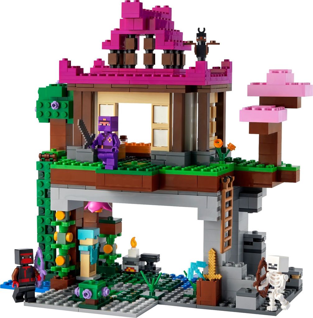 Výcvikové stredisko - Minecraft® LEGO 21183 Obrázok produktu 