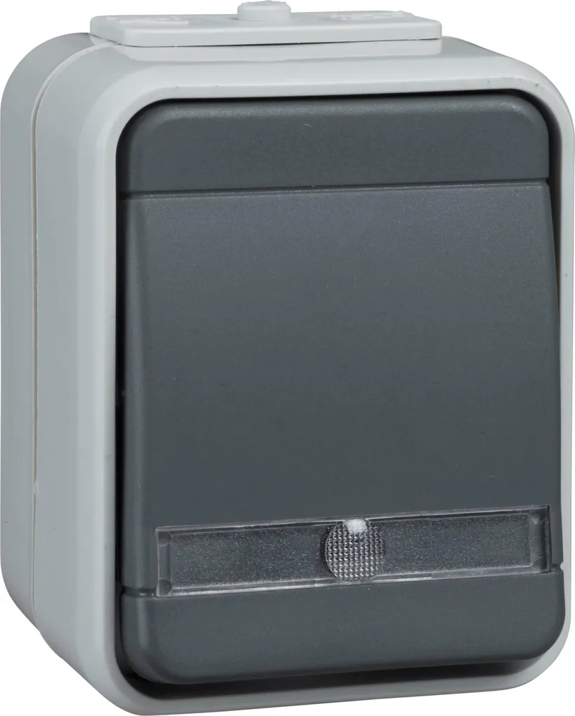 Interrupteur bouton poussoir gris en saillie avec témoin lumineux NO