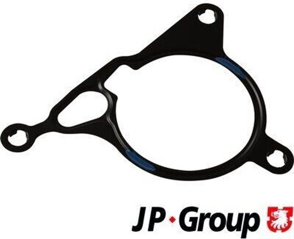 JP GROUP Dichtung Vakuumpumpe 1117151000 für VW GOLF VI (5K1)