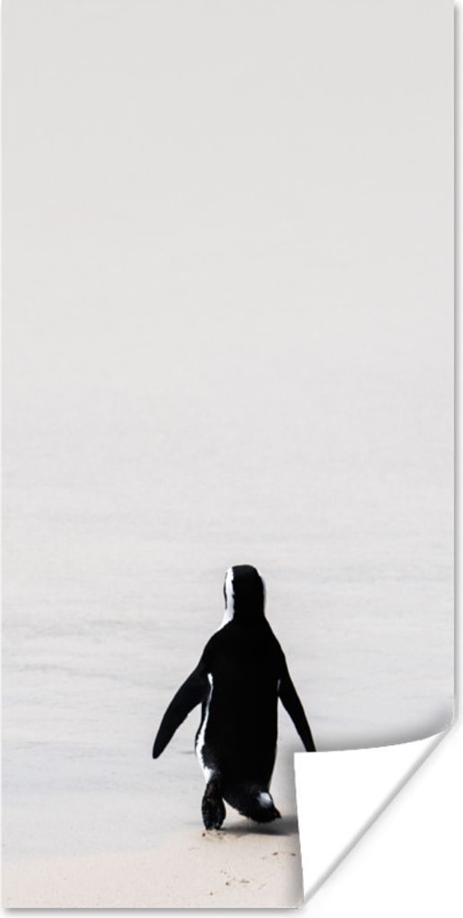 MuchoWow Poster Schwarzfußpinguin Minimalist 40x80 cm - Dekoration