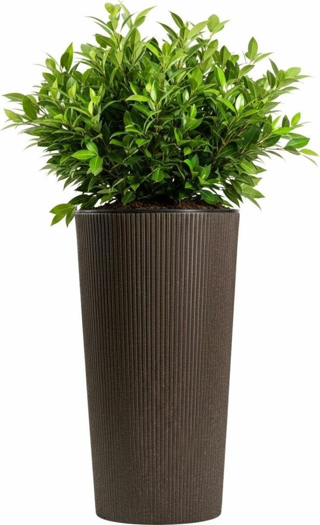 HowHomely | Blumentopf - Pflanzkübel - 57 x 29 cm - braun - Produktbild 