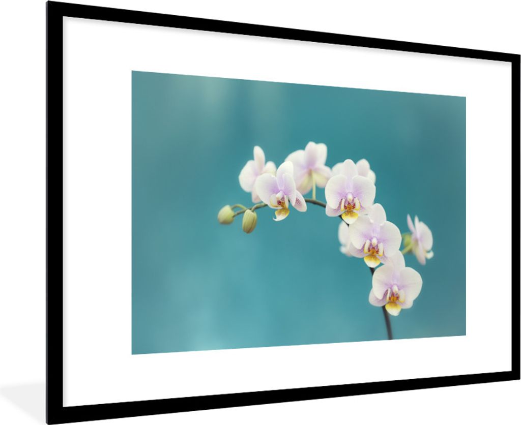 MuchoWow Gerahmtes Poster Orchidee - Blumen - Pflanze - Weiß - Lila 90x60 cm - Poster mit Schwarzem Bilderrahmen Wandposter Rahmen Foto Bilder -...
