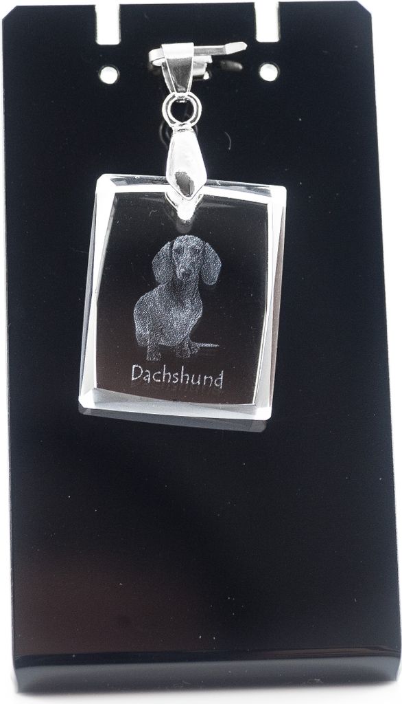 Dachshund Rauhhaar, Dackel, Teckel - Kristallanhänger für Hunde, Foto-Halskette, einzigartiger Schmuck von Art-Dog