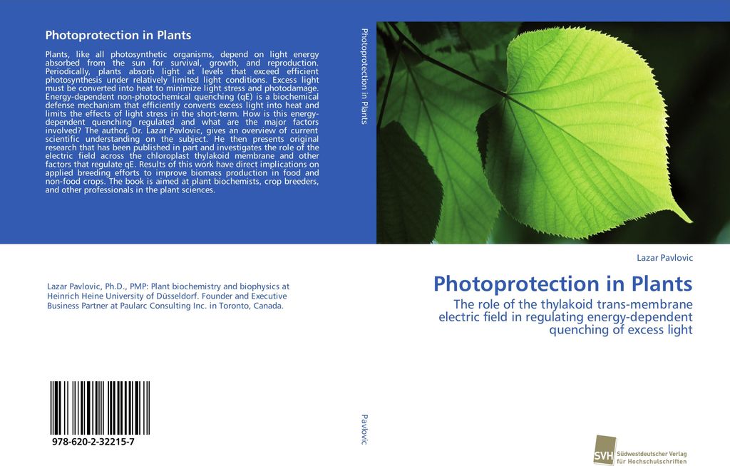 Photoprotection in Plants