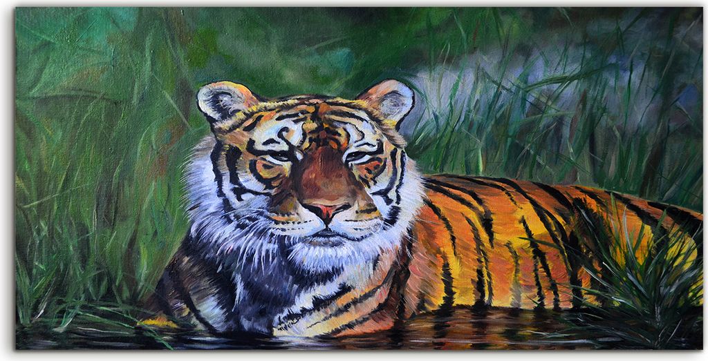 Coloray Spritzschutz aus Glas 120x60 Wandkunst Küchenrückwand Tier Katze Tiger im Wasser Wilde Natur
